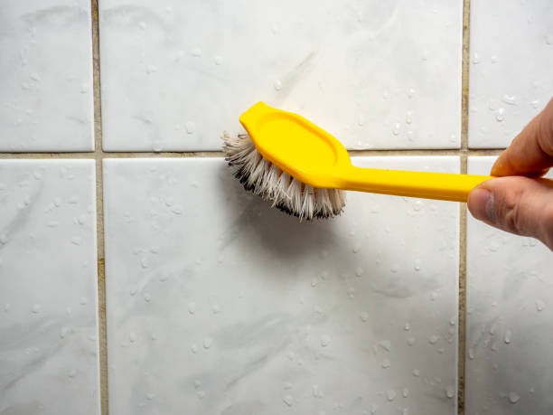 Best Professional Mold Removal  in Avilla, IN