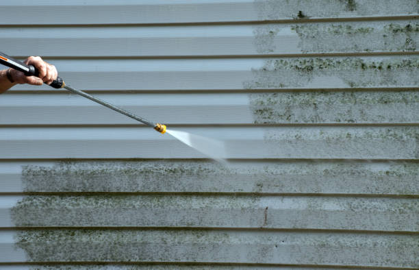 Best Mold Cleaning Services  in Avilla, IN