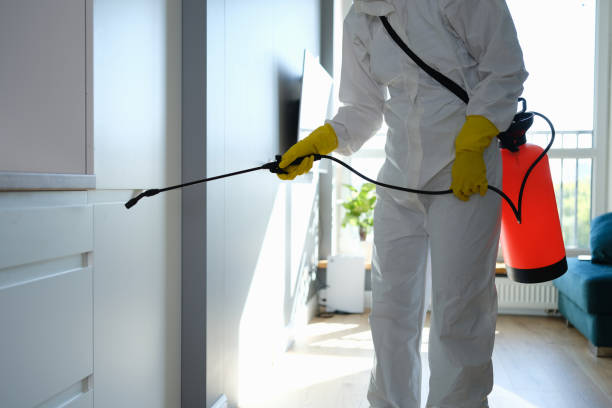 Best Local Mold Removal Service  in Avilla, IN